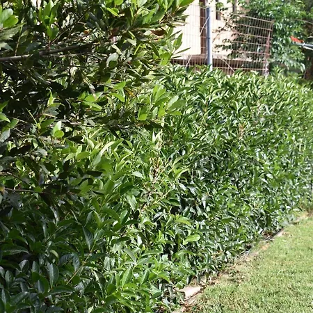 Appartamento Agrokipos Tiny