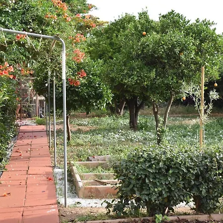 Agrokipos Tiny *